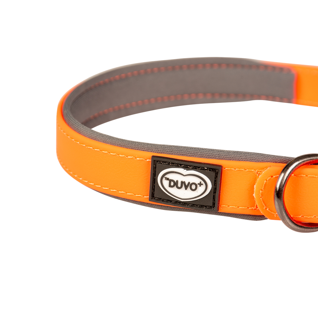 EXPLOR South halsband PVC neon oranje - Detail 2