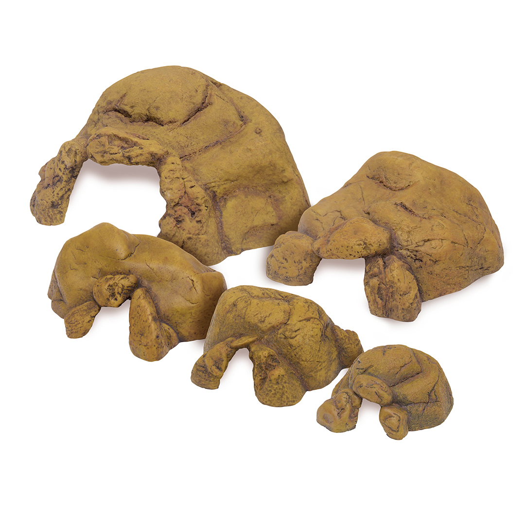 Concept EXoterra Reptile CAve - Product shot
