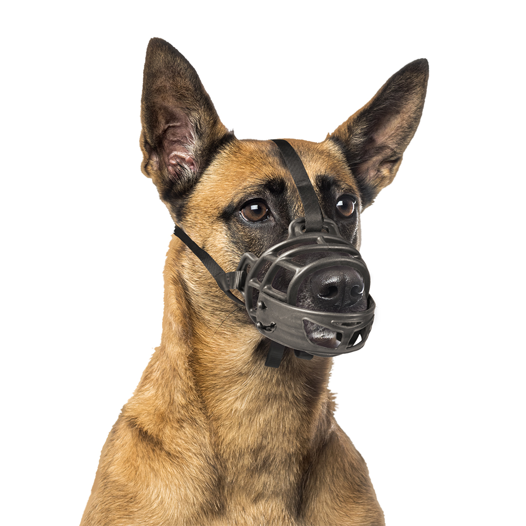 Dog muzzle rubber black/red - Sceneshot