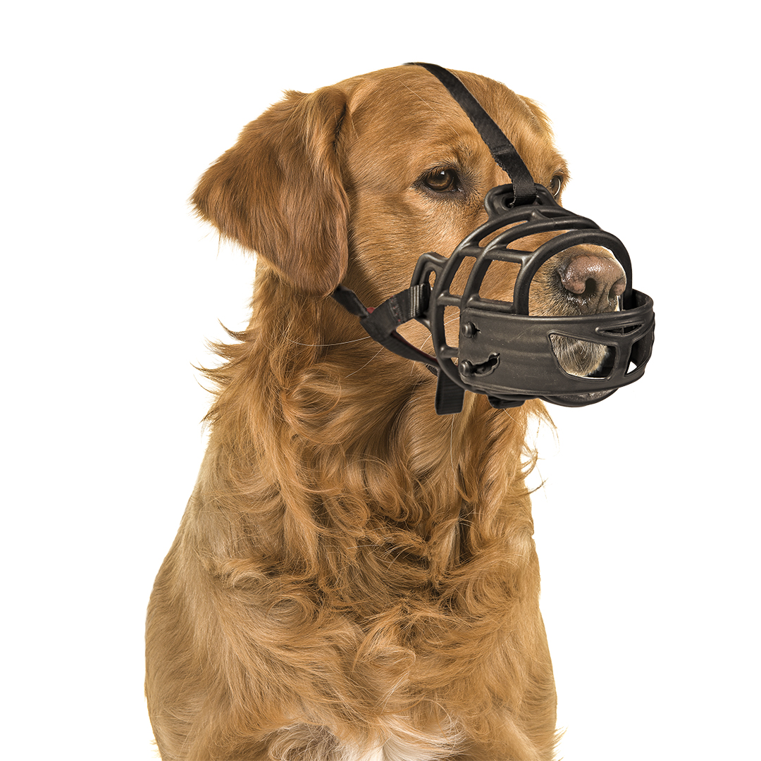 Dog muzzle rubber black/red - Sceneshot