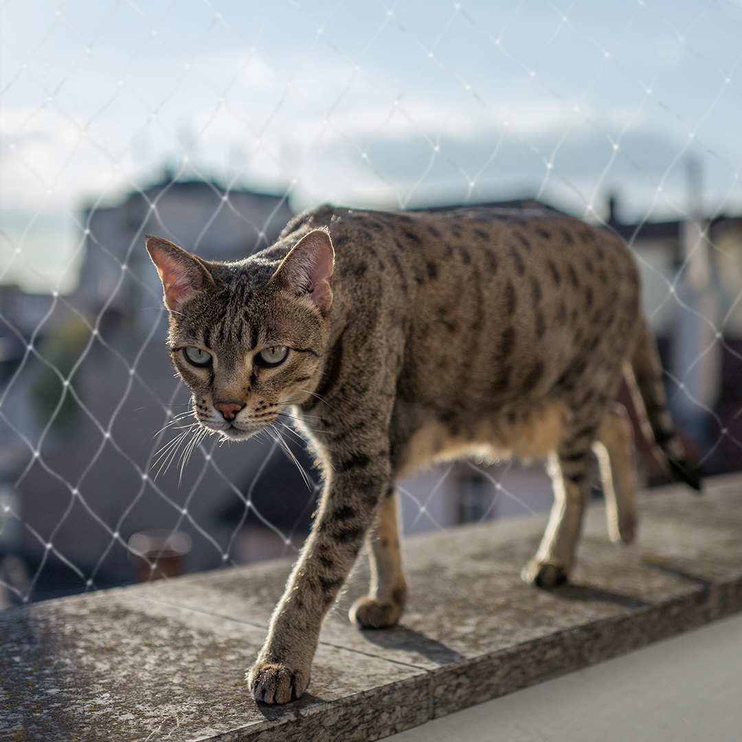 Balcony Cat Safety Net Children Protective Mesh Durable Fireproof