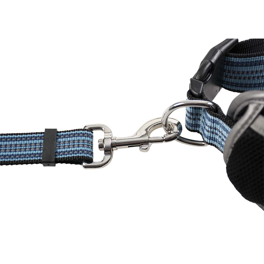 Jogging belt with leash - Detail 2