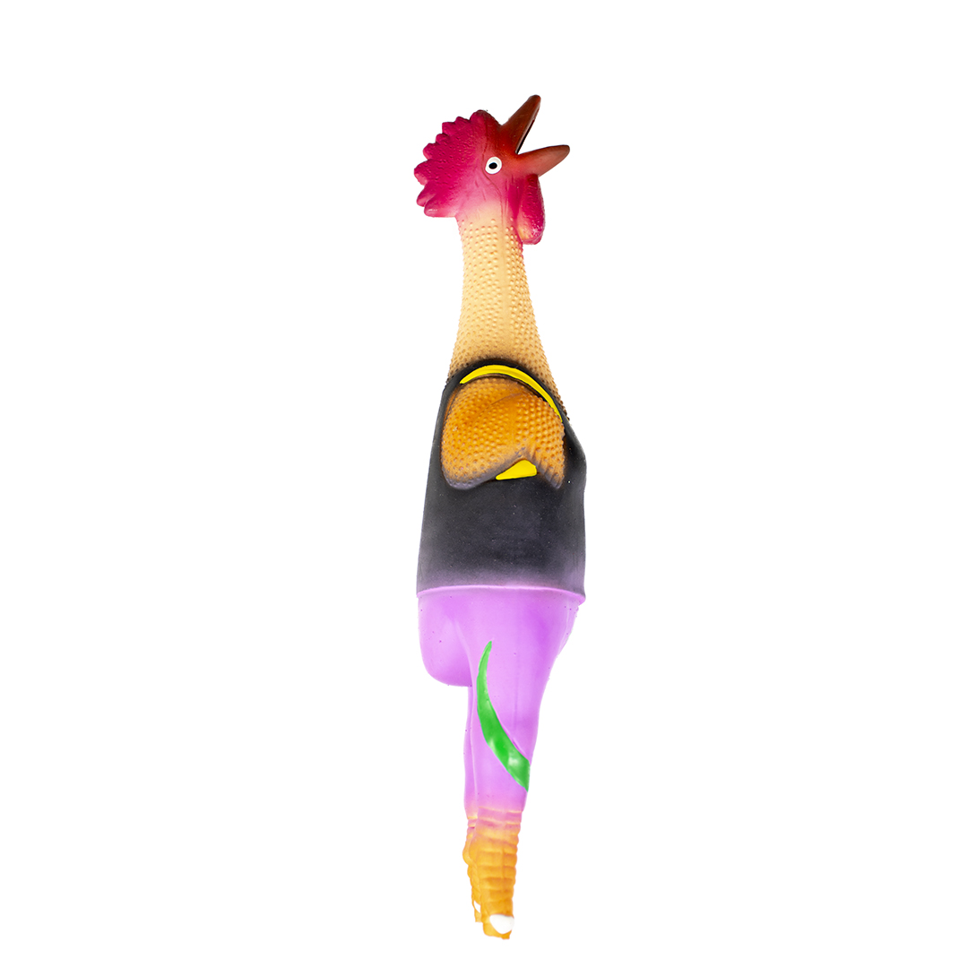Latex chicken with tracksuit multicolour - Product shot