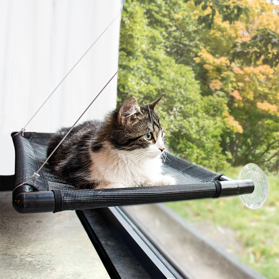 Window hammock for cats black - Product shot