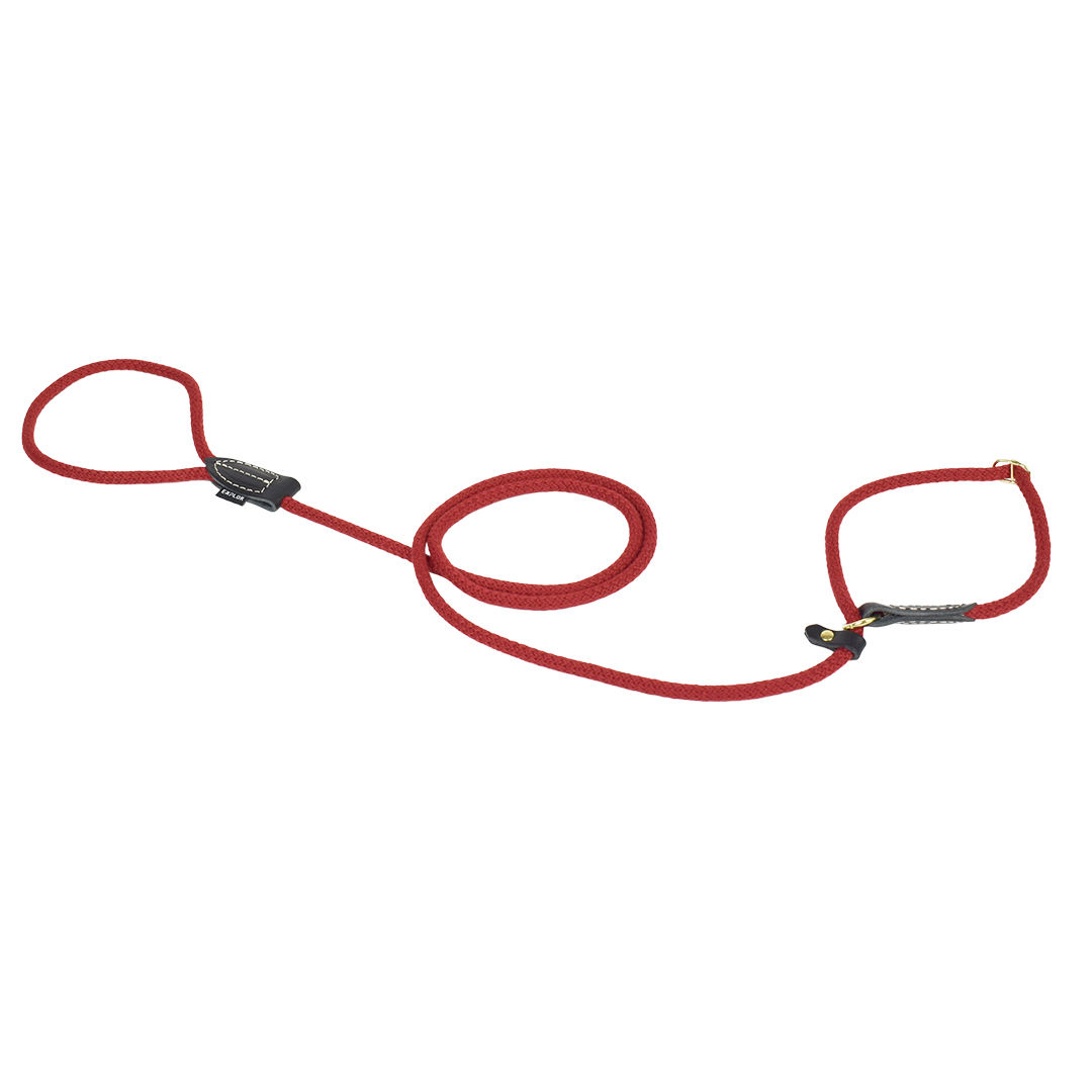 Explor forest training lead nylon red - <Product shot>