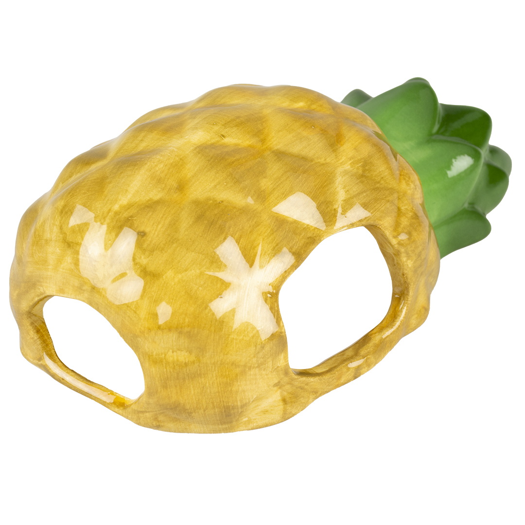 Knaagdierenhuis Stone pineapple meerkleurig - Product shot