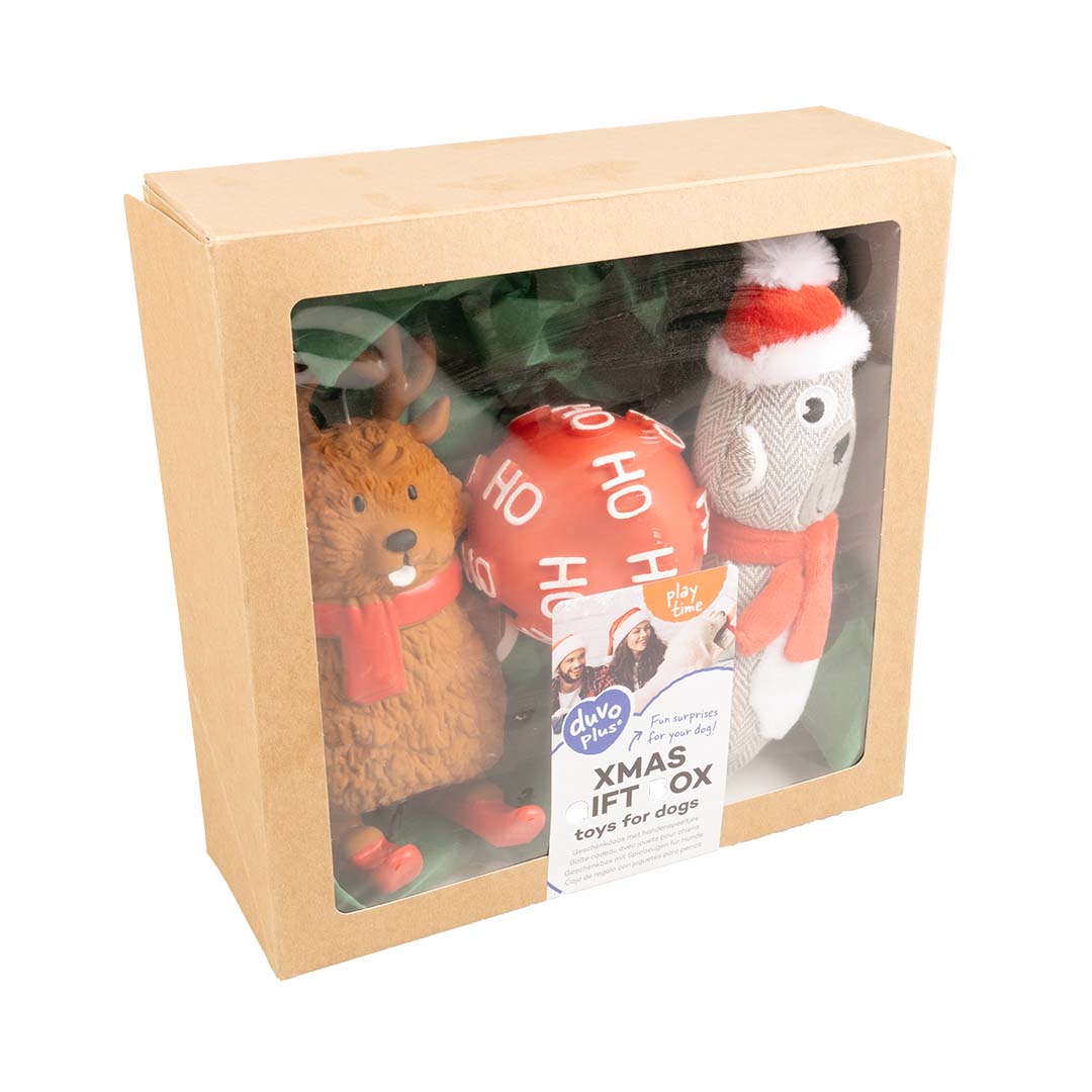 Xmas Toy Giftbox - Product shot