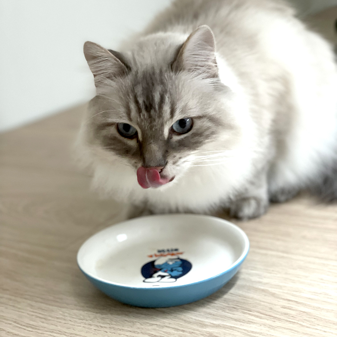 Hefty smurf low feeding bowl white/blue - Sceneshot 2