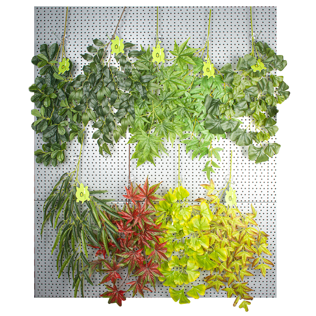 Concept terra della hangplanten - Product shot