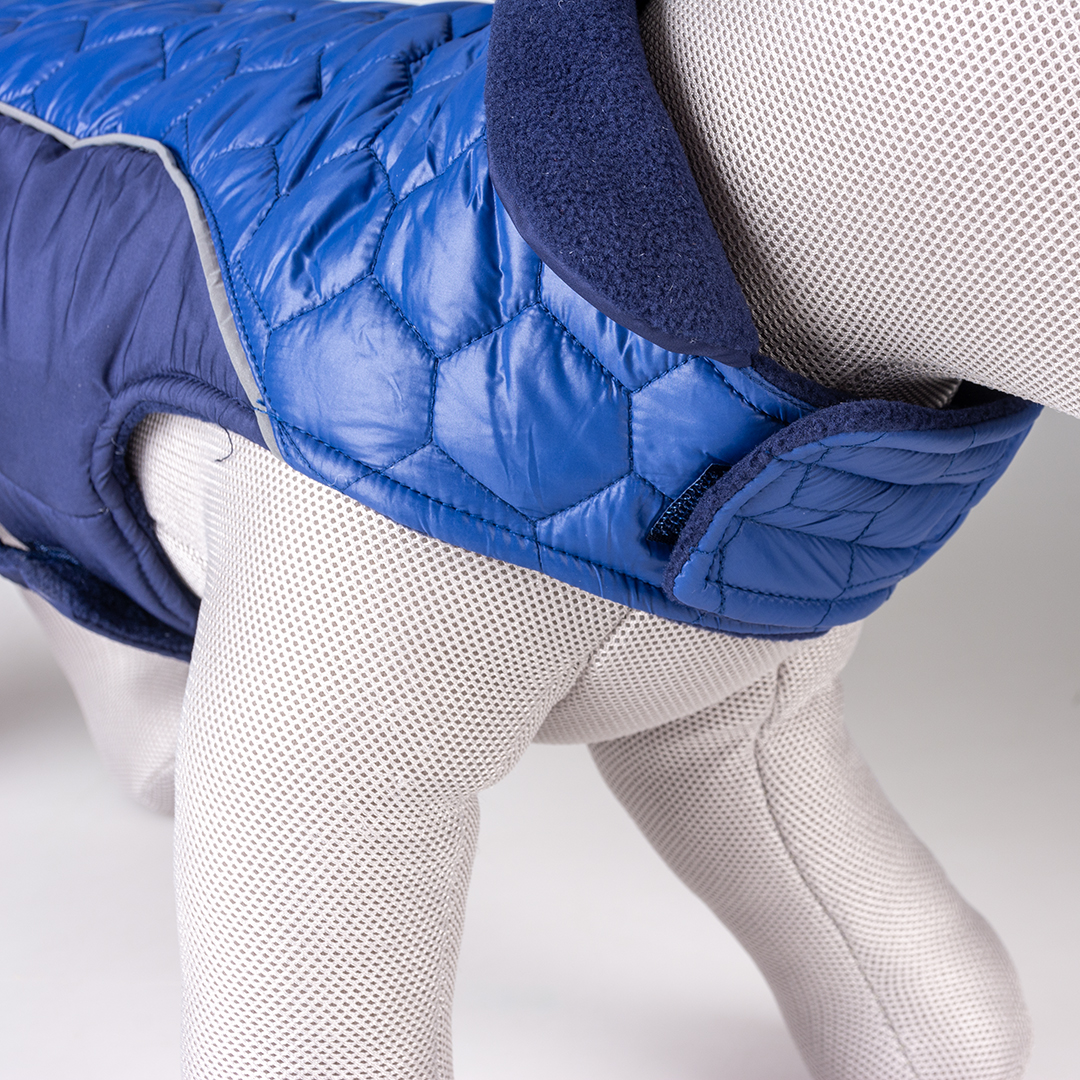 Dog jacket hi vis quilt blue - Detail 1