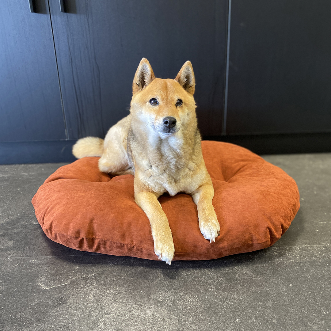 Cushion oval velvet copper red/white - Sceneshot