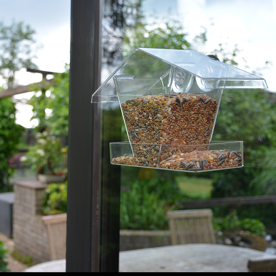 Garden birds window feeder bilbao transparent - Sceneshot