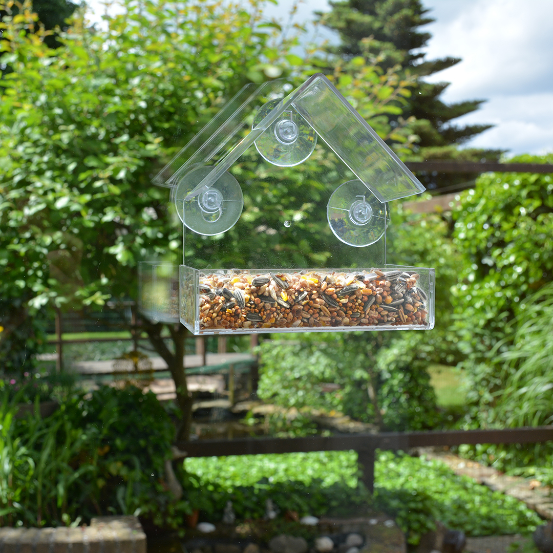 Garden birds window feeder paris transparent - Sceneshot