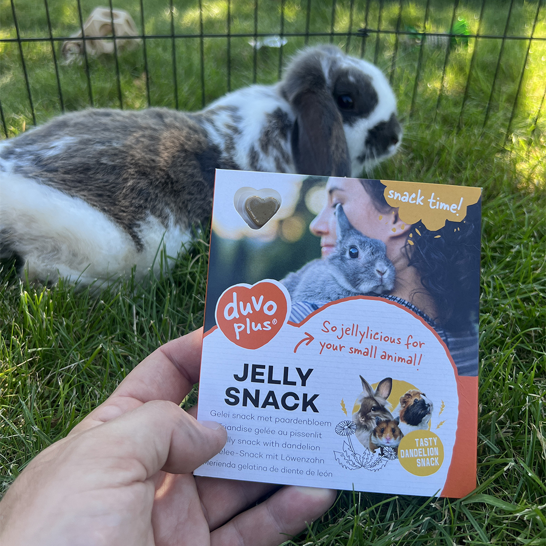 Jelly snack carrot - Sceneshot