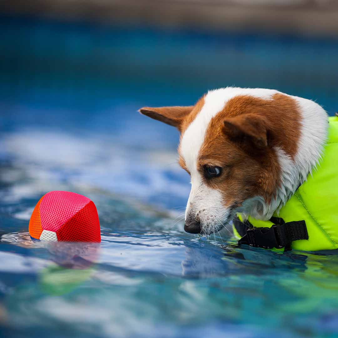 Refresh schwimmender ball mehrfarbig - Sceneshot