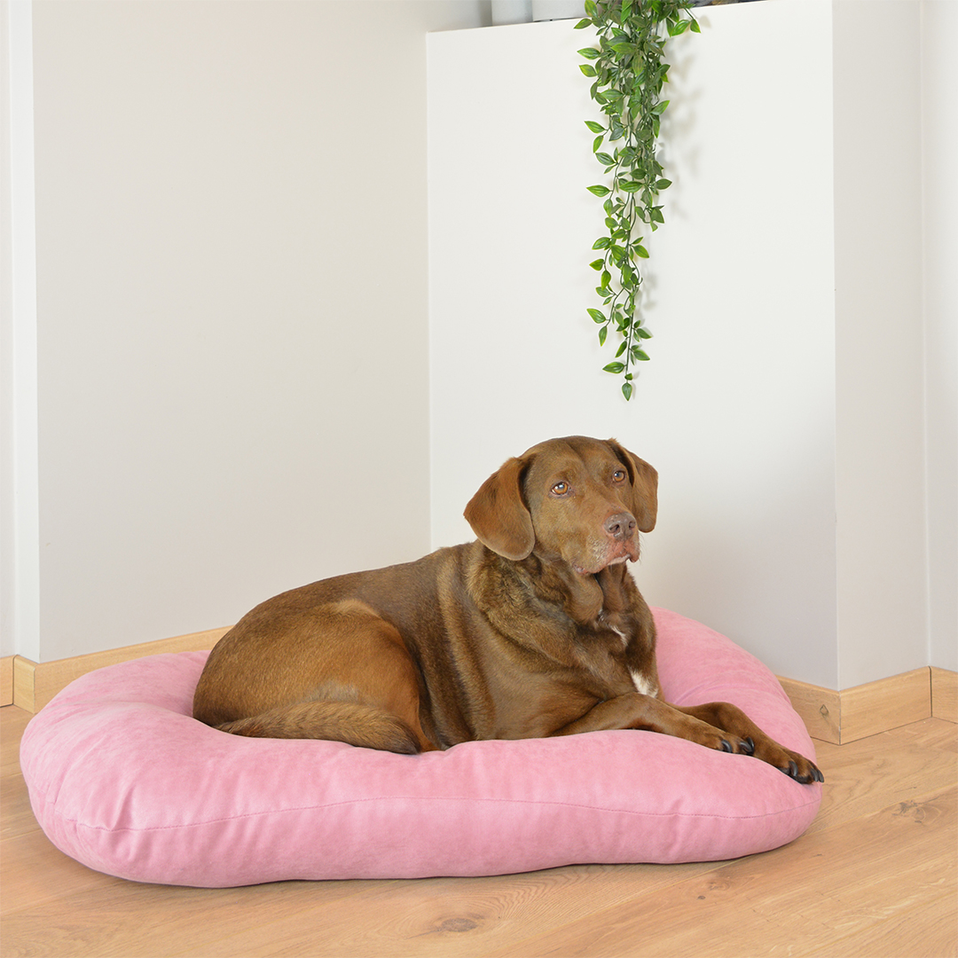 Cushion oval velvet pink - Sceneshot