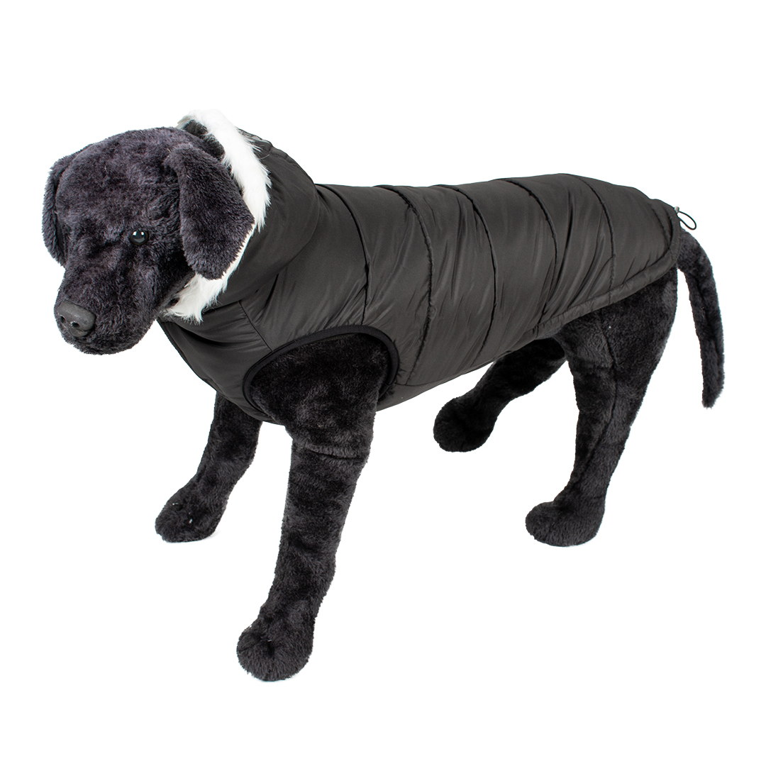 Dog jacket puffer eskimo black - Sceneshot