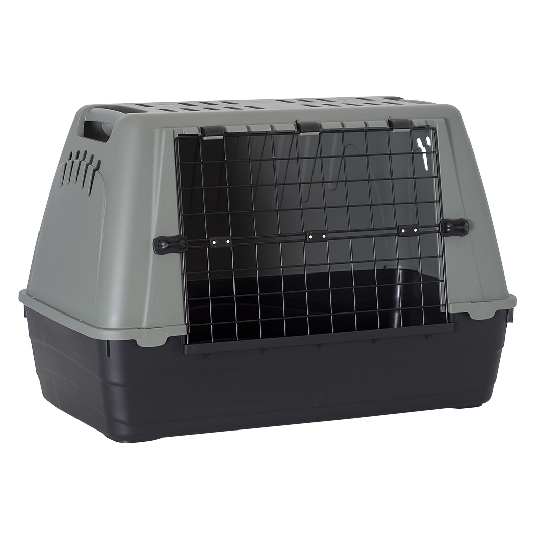 Baron ECO Car box Gris/verde - <Product shot>