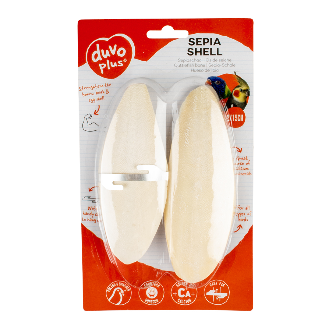 Sepia shell white - Facing