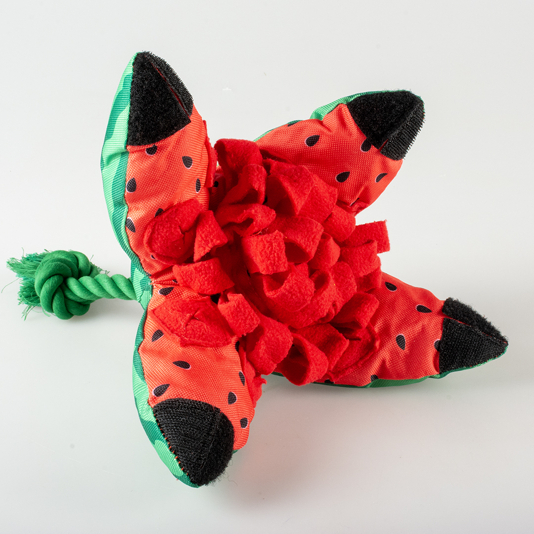 Snack toy watermelon green/red - Detail 1