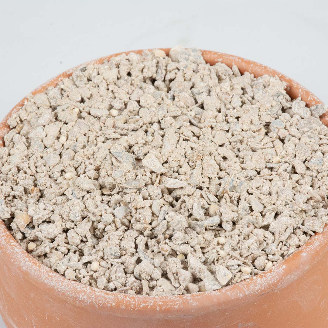 Pickstein Tico - Detail 1