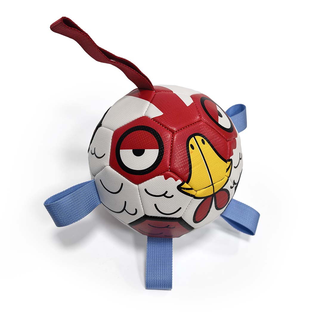 Voetbal Birdy met pomp Meerkleurig - Product shot