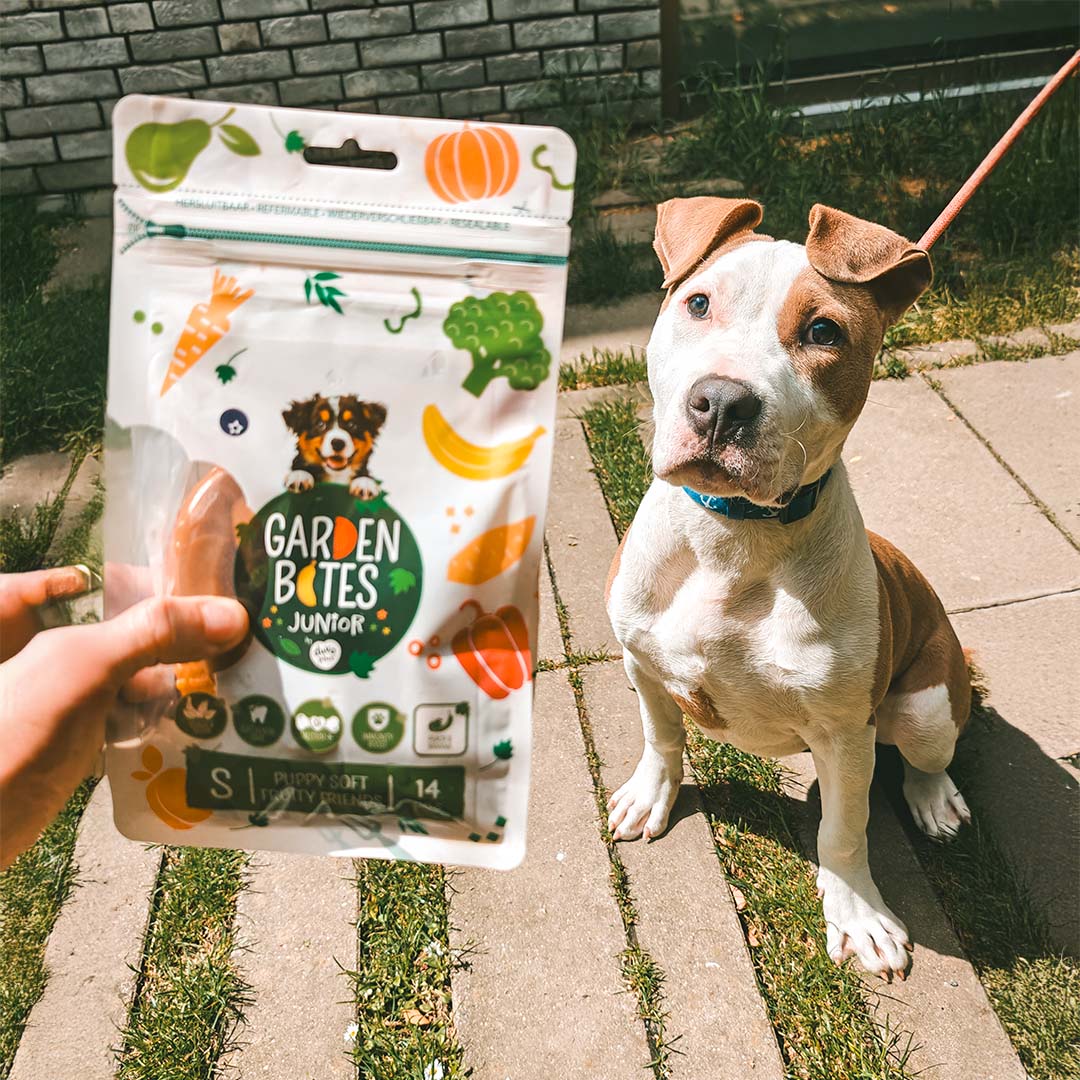Garden Bites Puppy soft fruity friends Multicolor - Sceneshot 2