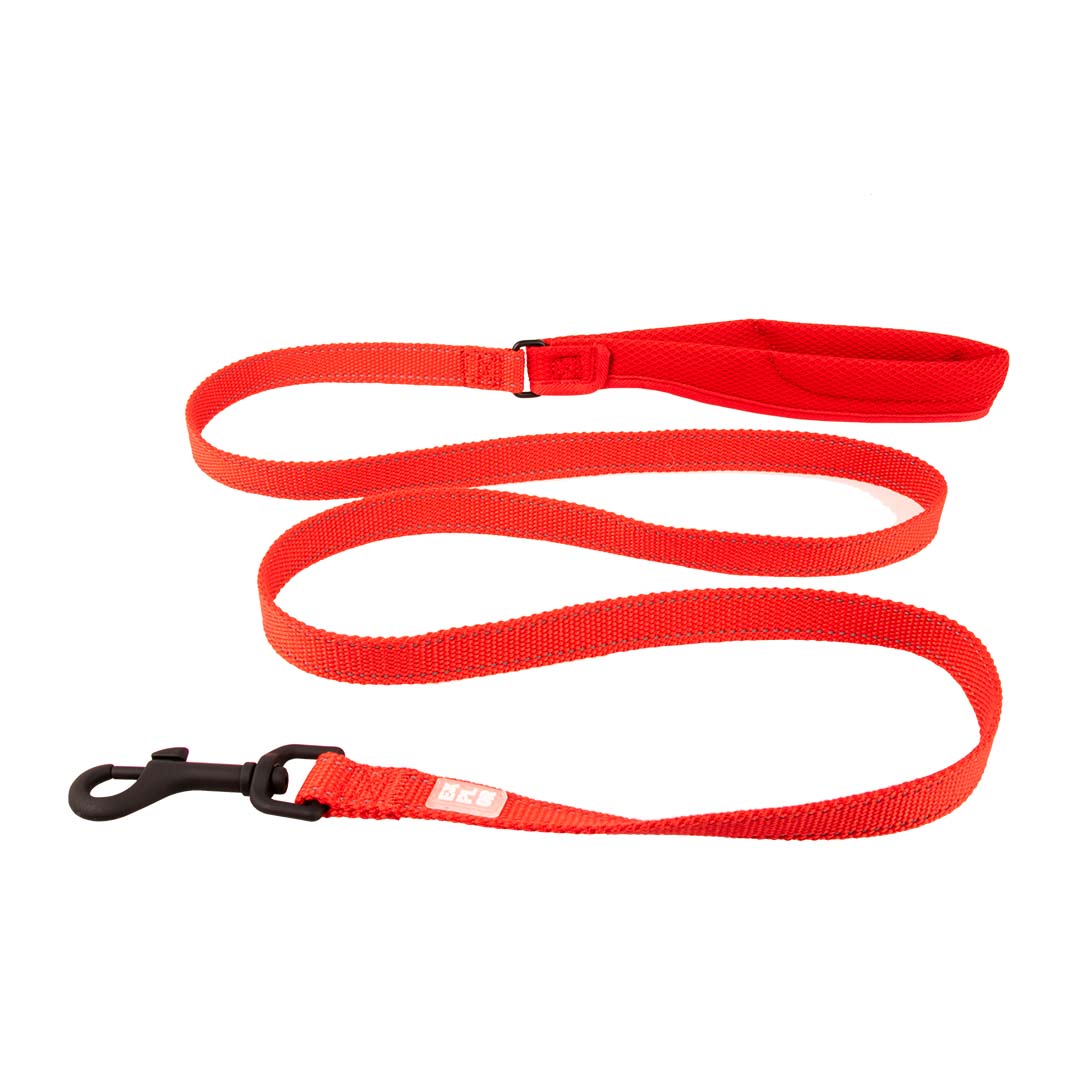 Ultimate fit petit chien laisse Rouge - <Product shot>