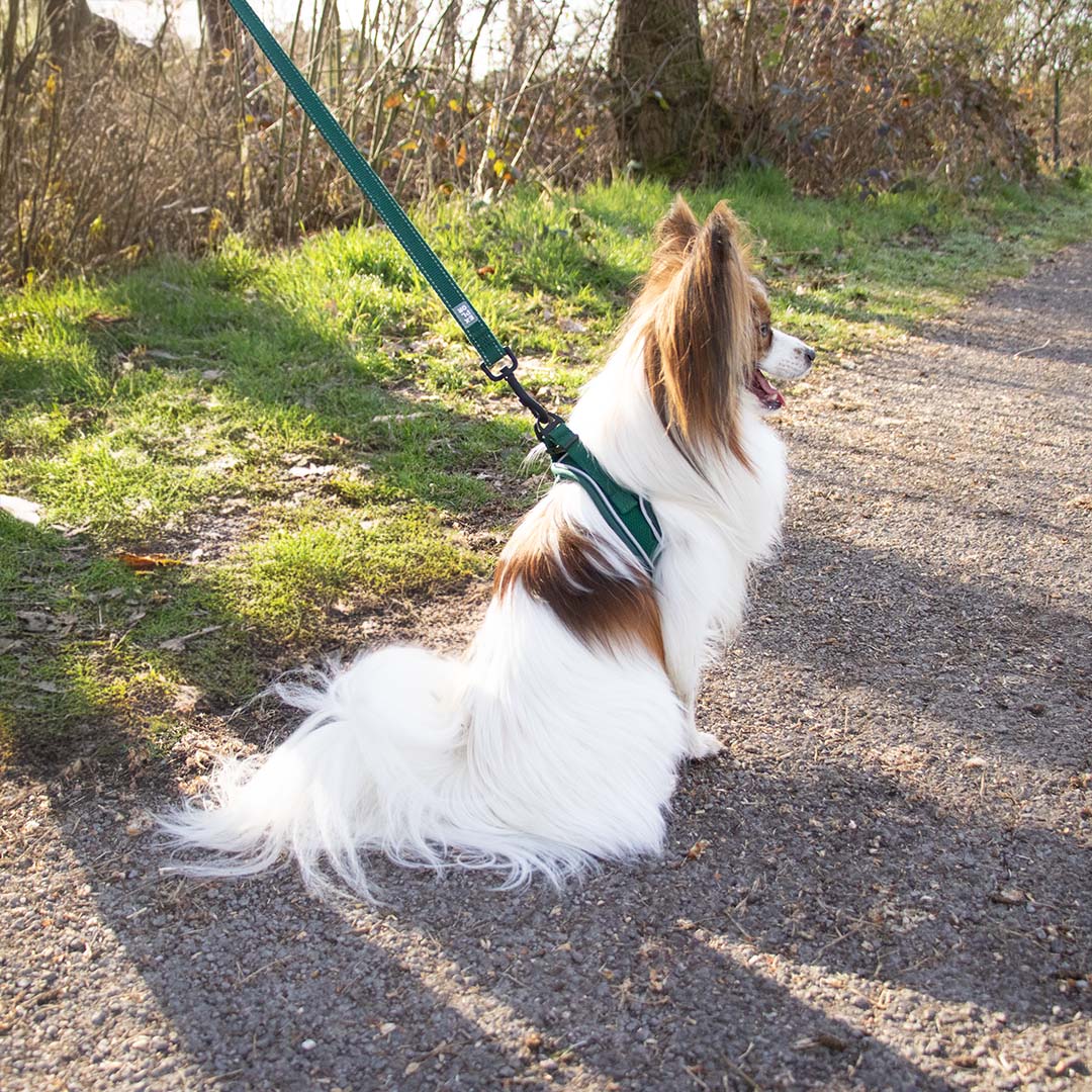 Ultimate fit kleine hond harnas Groen - Sceneshot 2