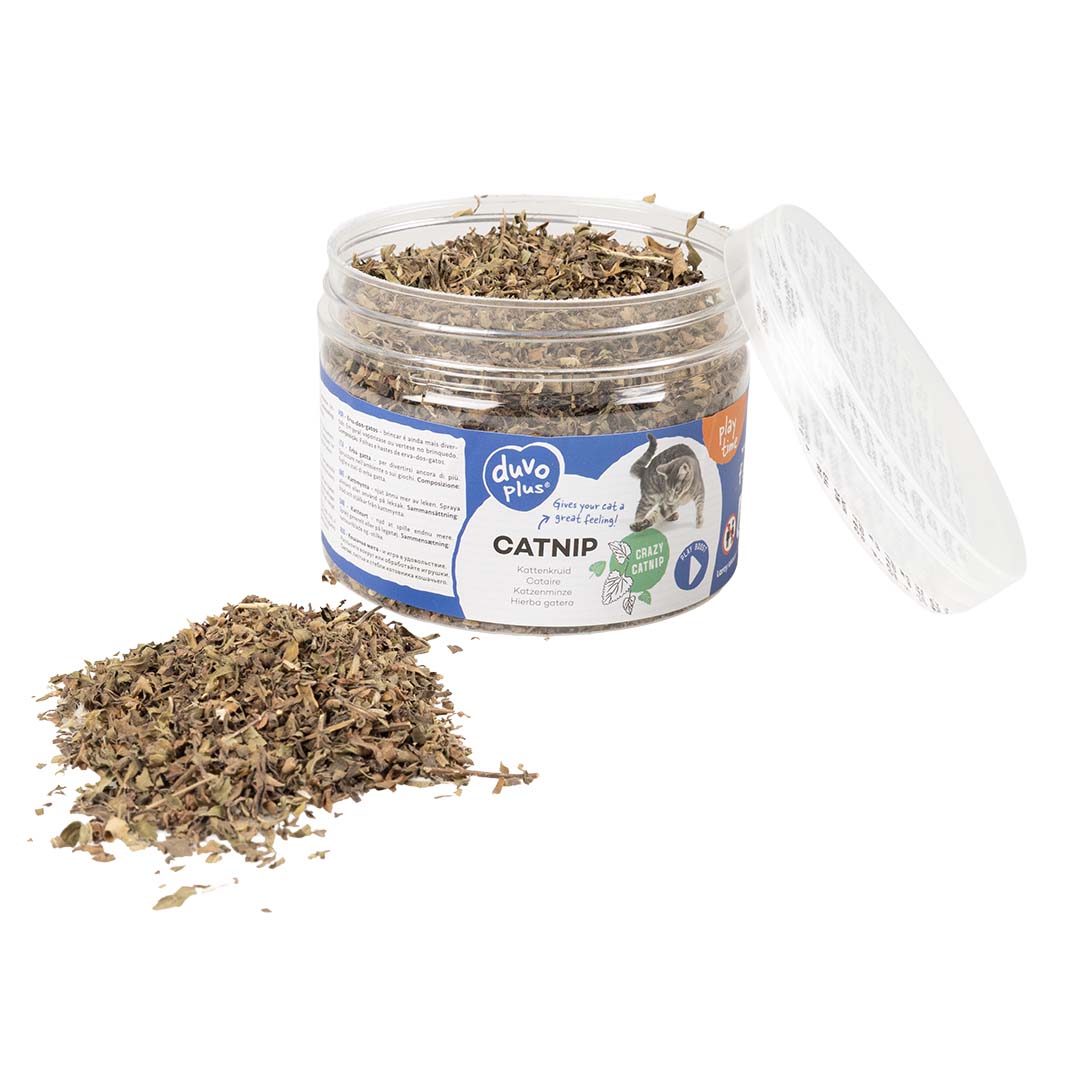 Catnip - Laroy Group