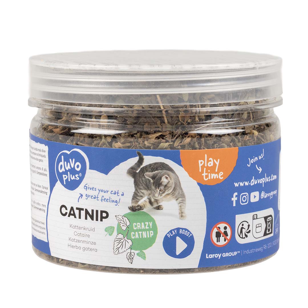 Kattenkruid - <Product shot>