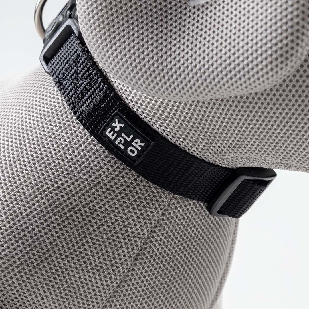 Halsband Classic Zwart - Detail 3