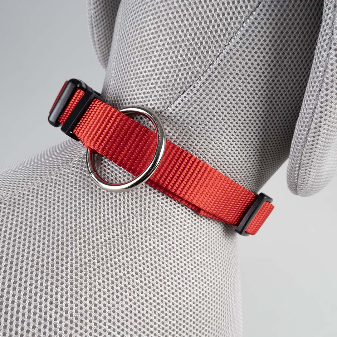 Halsband Classic Rood - Detail 2