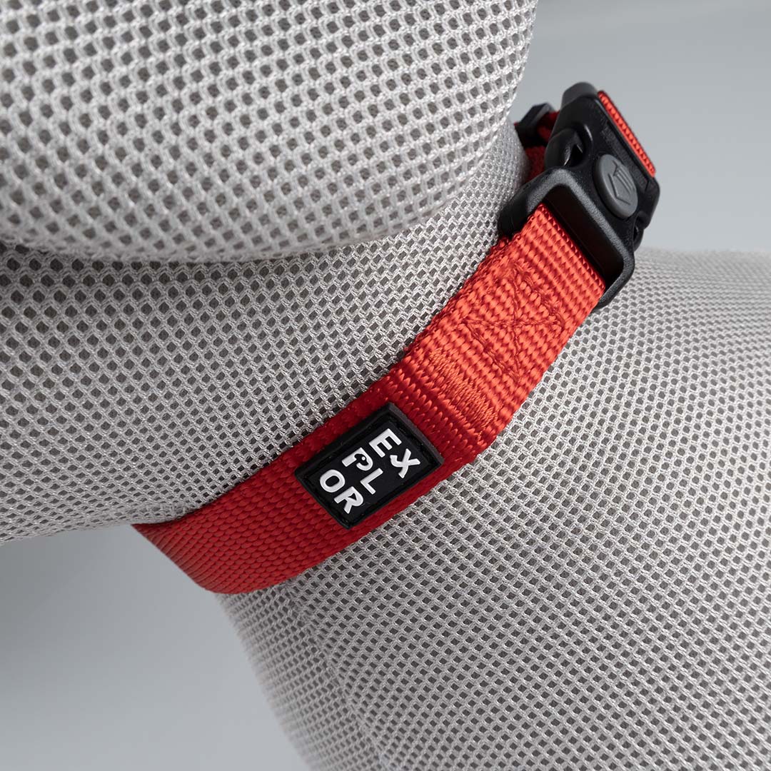 Halsband Classic Rood - Detail 3