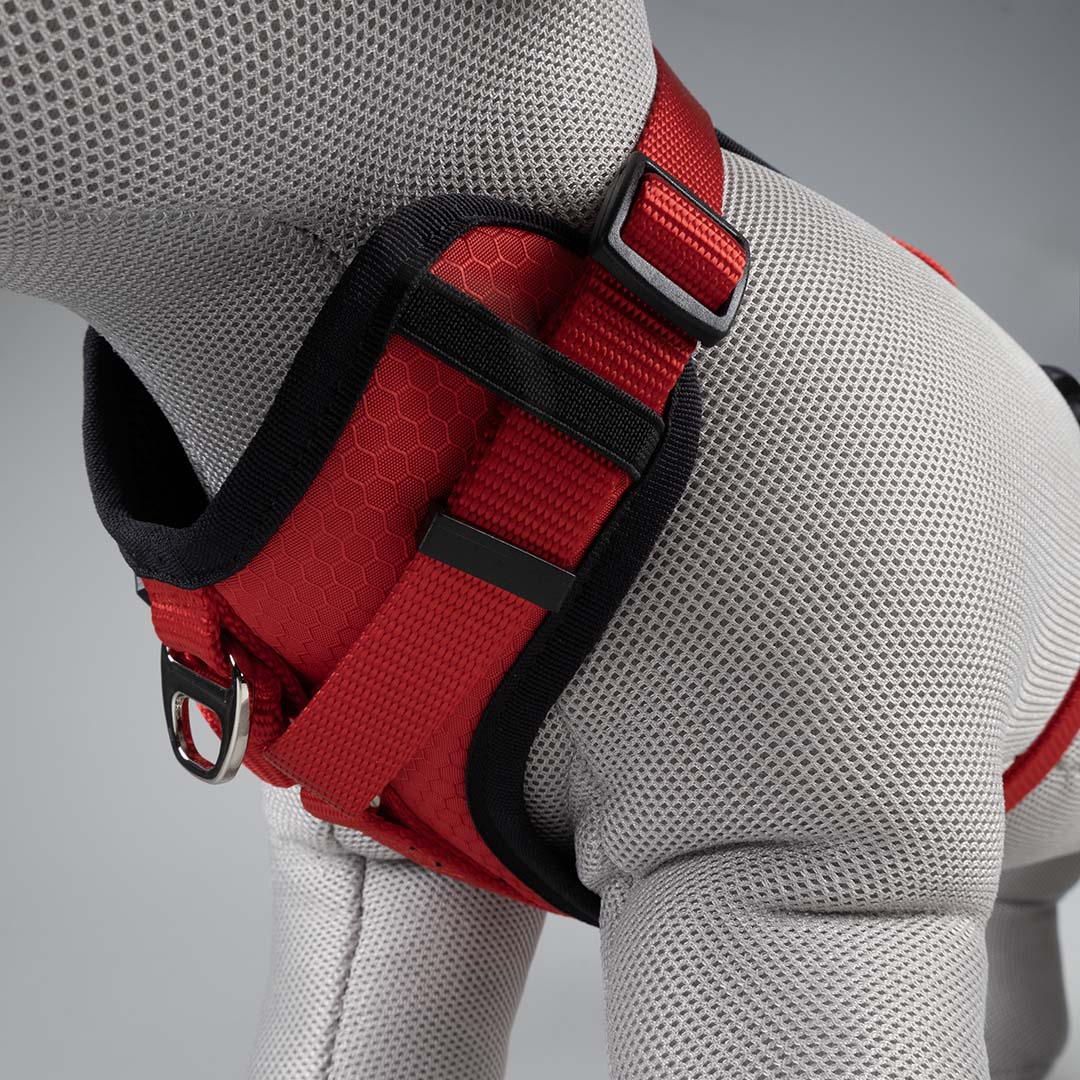 Harnas Y Classic Rood - Detail 2