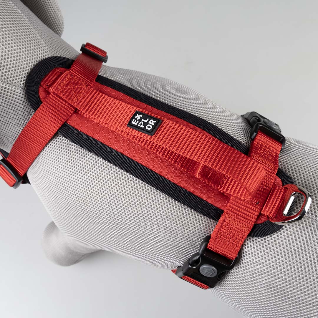 Harnas Y Classic Rood - Detail 3