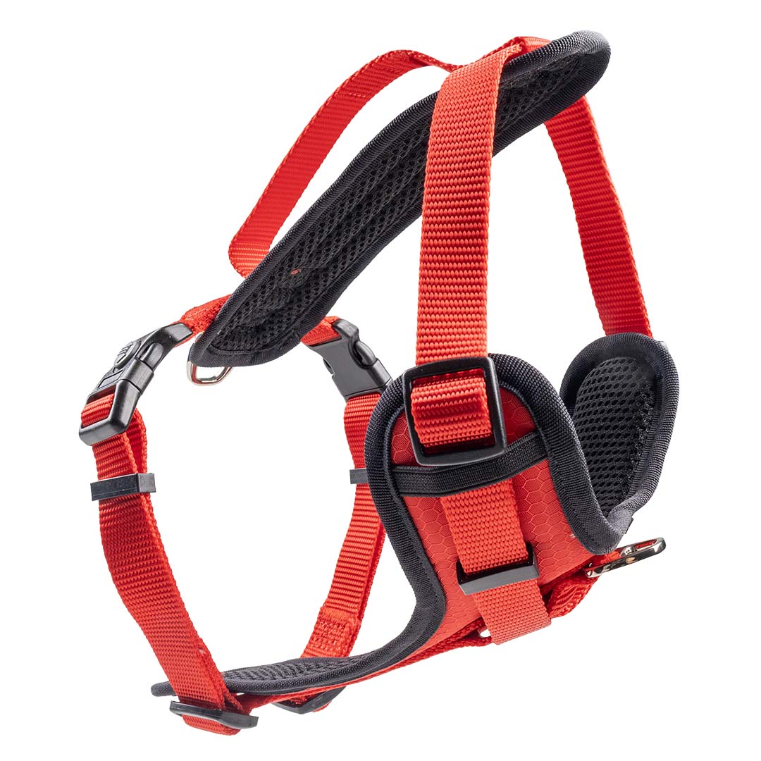 Harnas Y Classic Rood - <Product shot>
