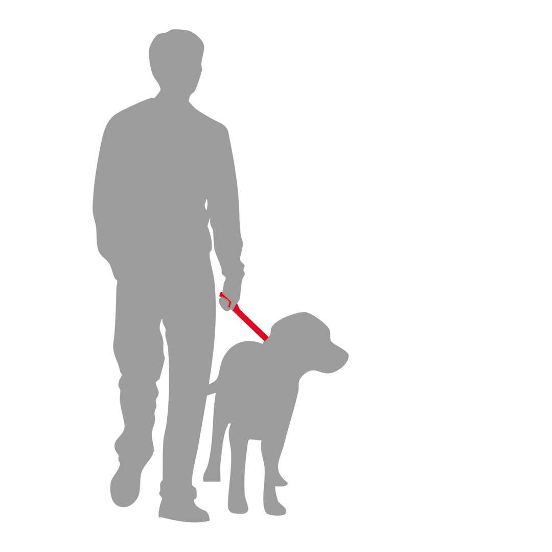 Leine kurz Classic Rot - Technische tekening