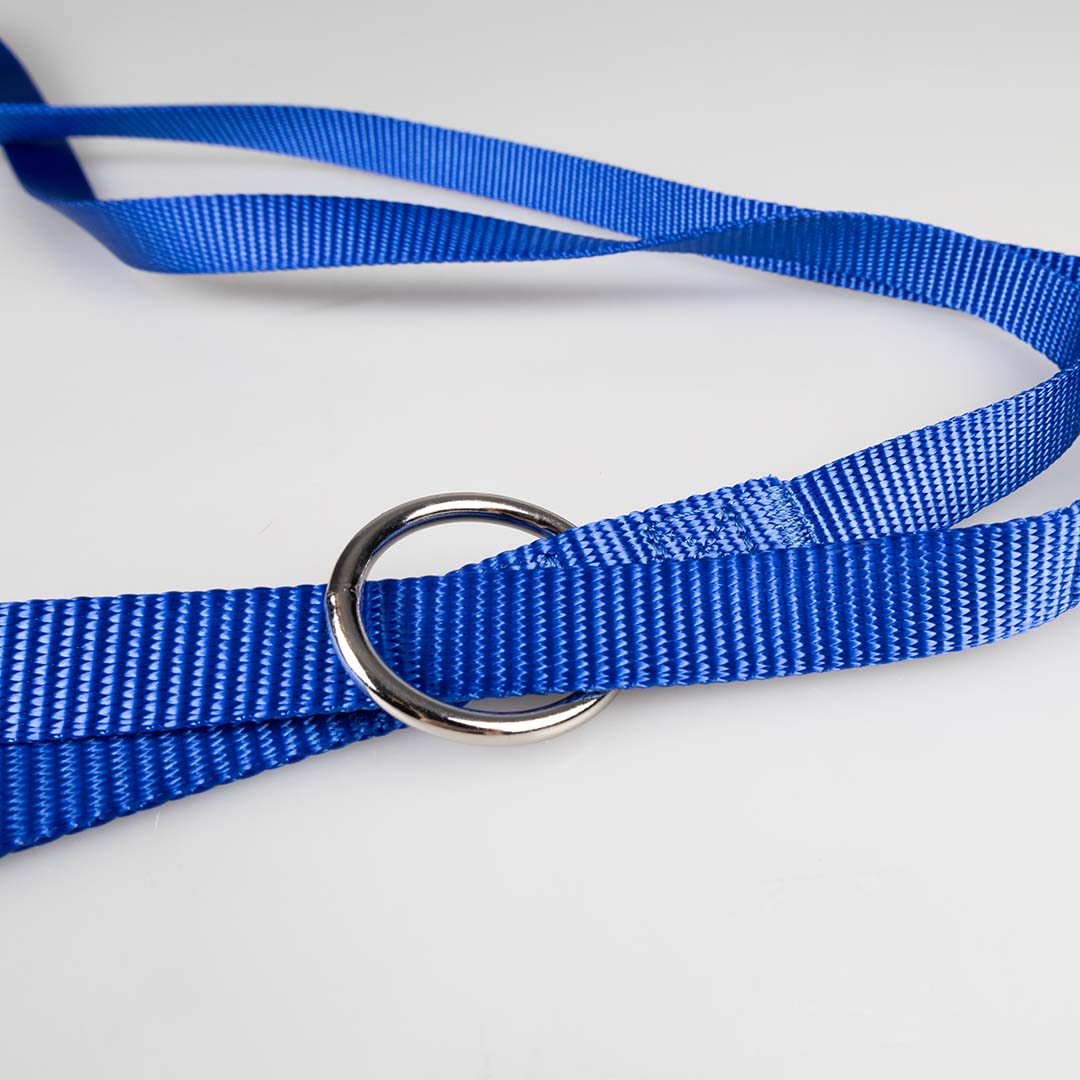 Leiband Duo Fashion Blauw - Detail 2