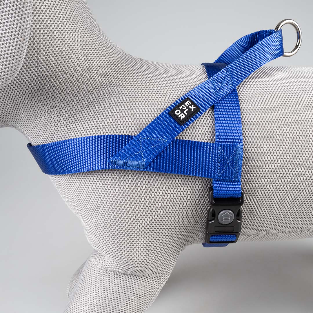 Harnas Chest Fashion Blauw - Detail 2