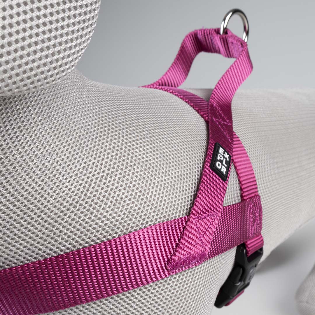 Harnas Chest Fashion Fuchsia - Detail 2