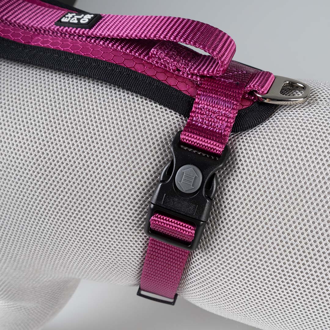 Harnas Y Fashion Fuchsia - Detail 2