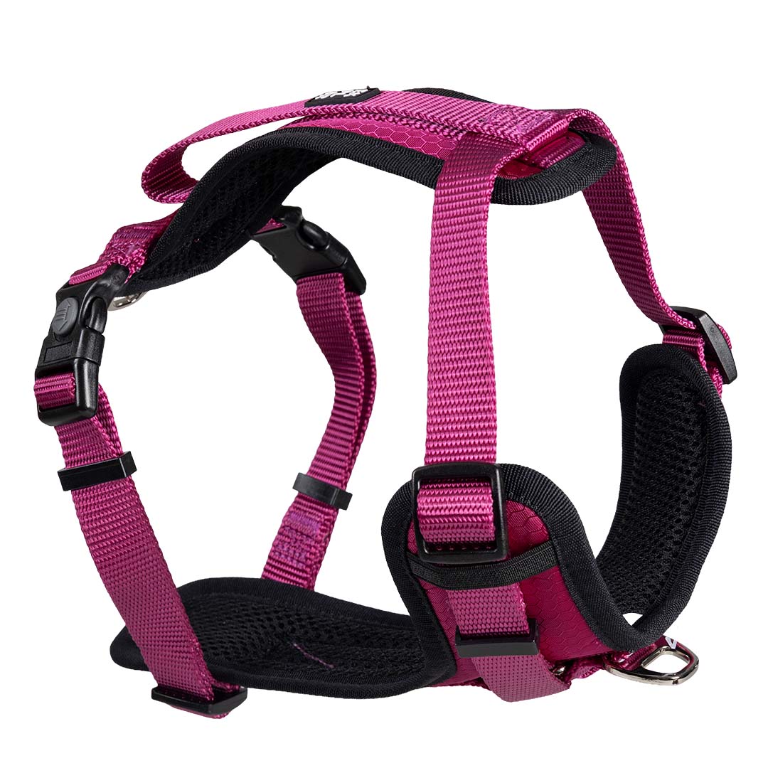 Harnas Y Fashion Fuchsia - <Product shot>