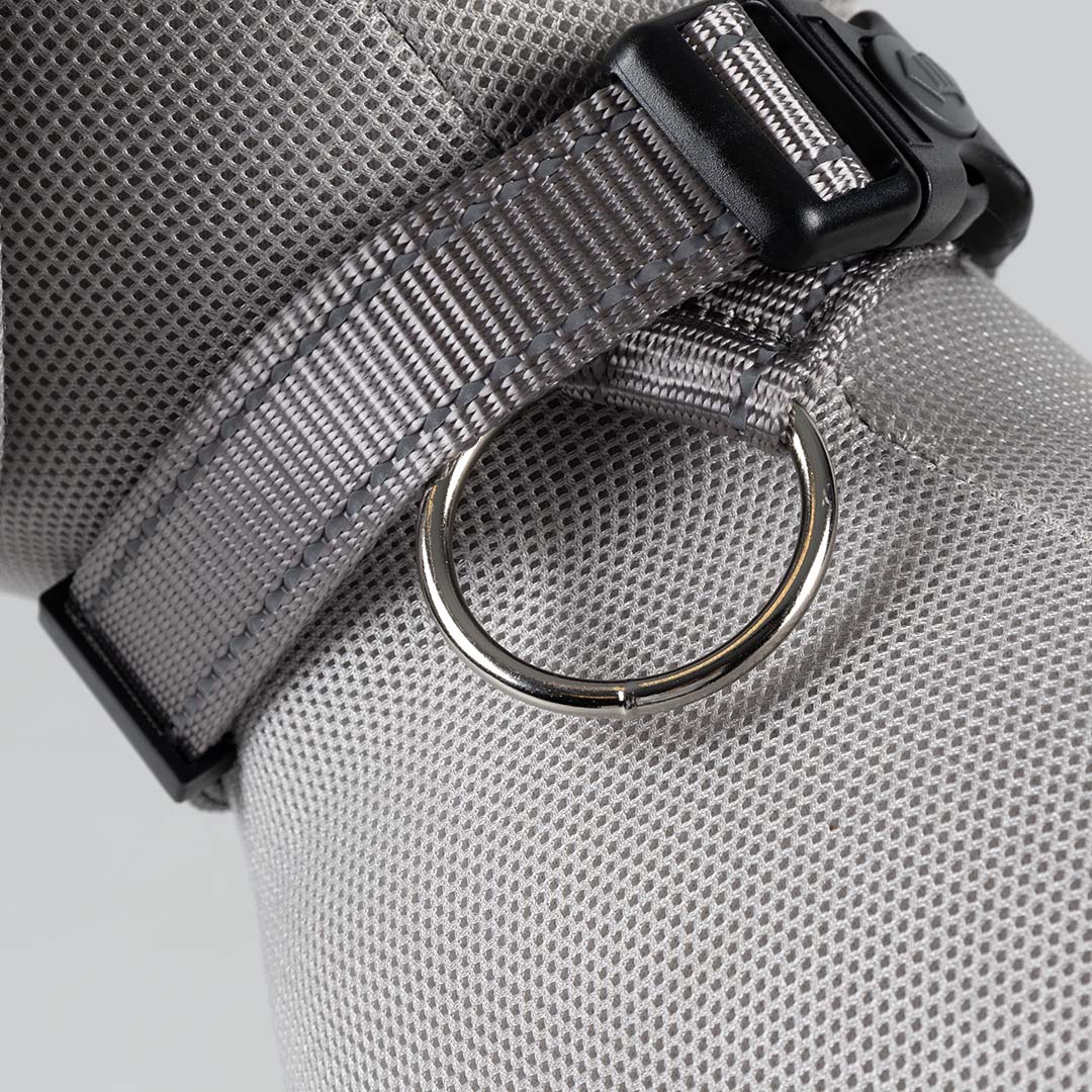Halsband Safety Grijs - Detail 2