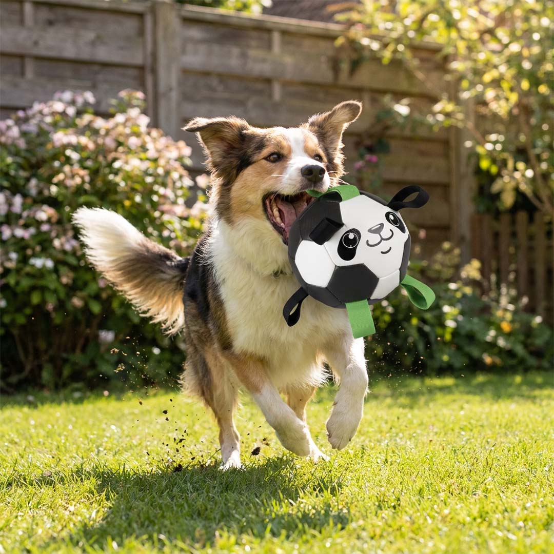 Voetbal panda met pomp Zwart/wit - Sceneshot