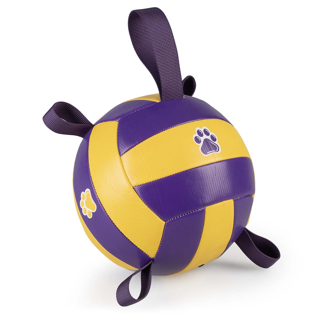 Volleybal met pomp Geel/paars - Product shot