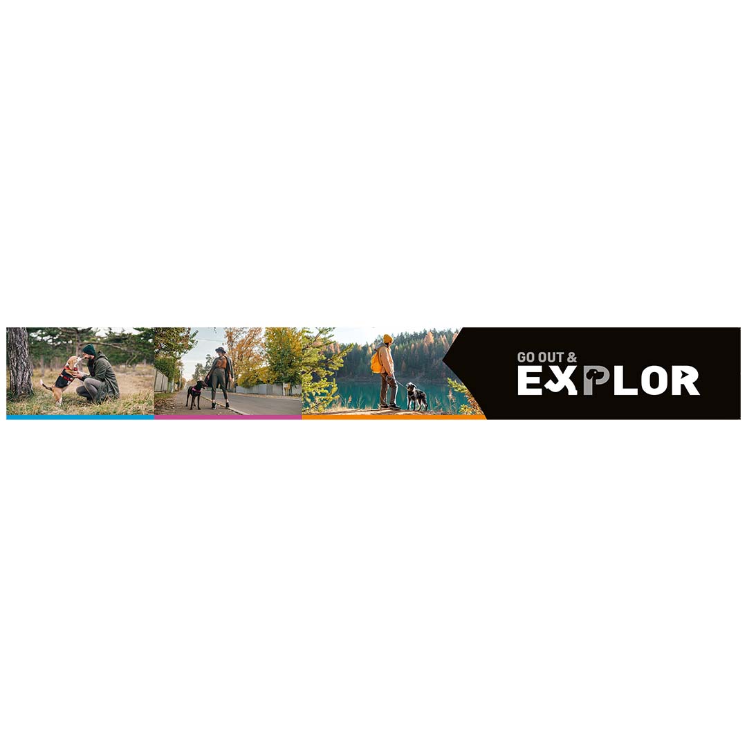 EXPLOR topcard small Forex - Product shot