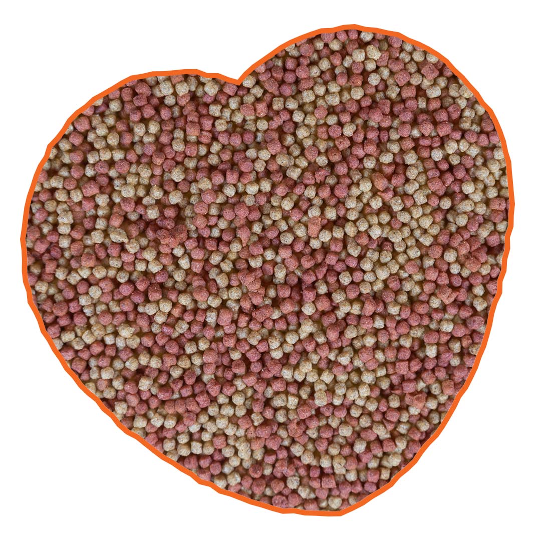 Pond pellets colour mix - Foodshot
