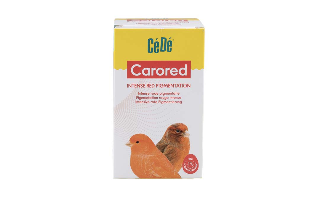 CéDé Carored - Facing