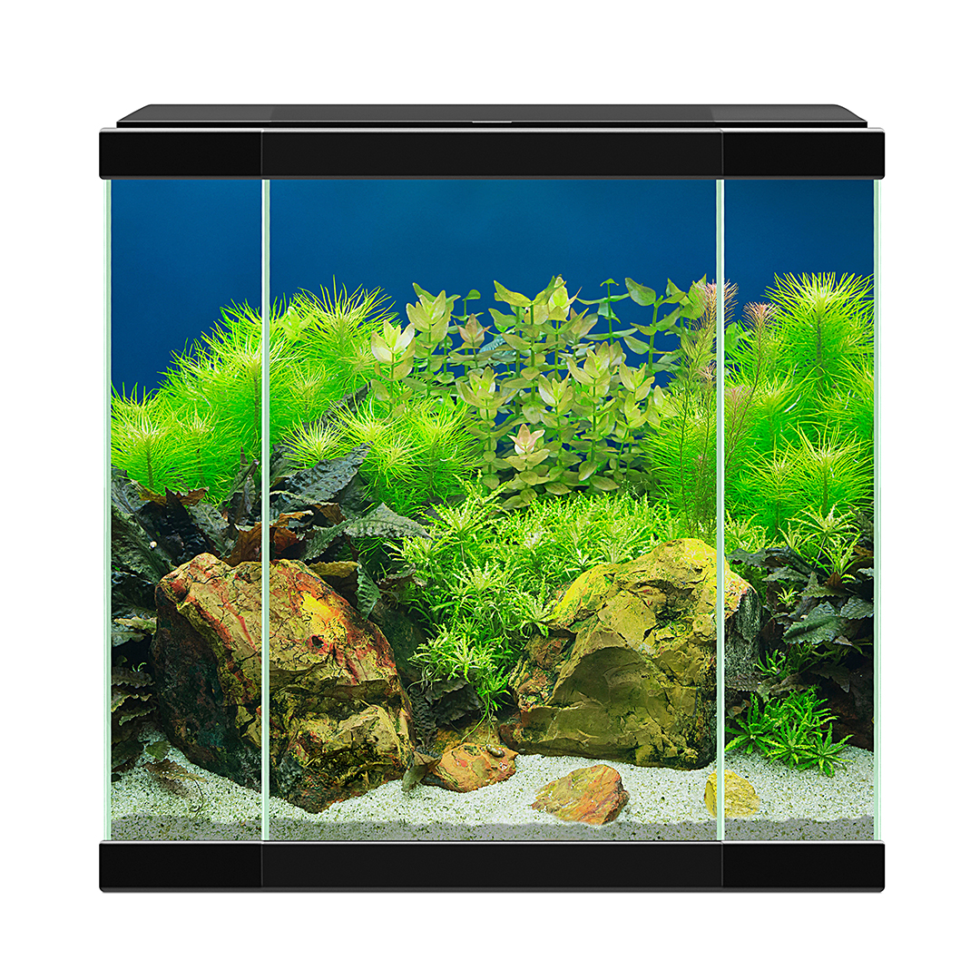 Aquarium aqua 30 led zwart - Facing